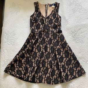 Francesca’s minidress